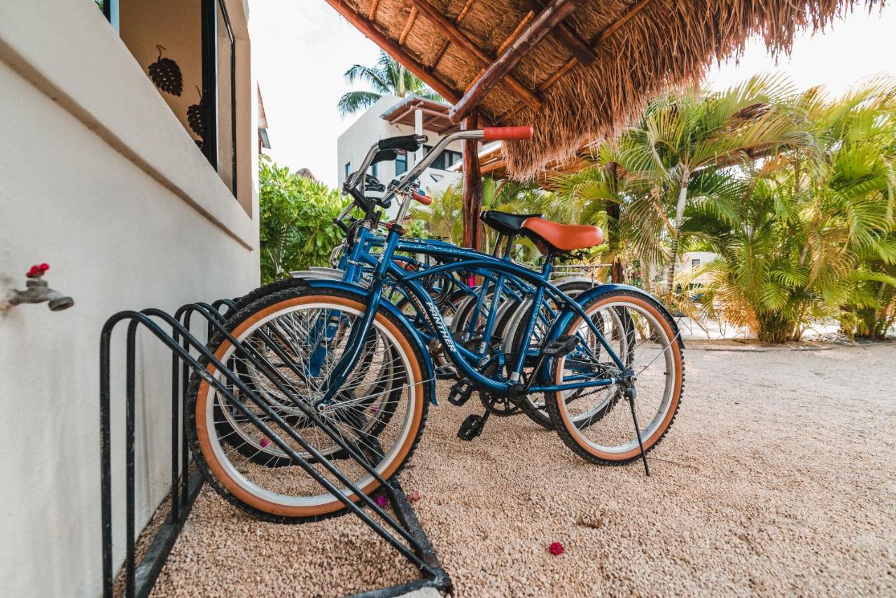 Hotel Blue Palm Bacalar Exteriér fotografie